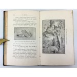 CHEŁMICKI Zygmunt - W Brazylii. Notatki z podróży - Warszawa 1892