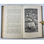 CHEŁMICKI Zygmunt - W Brazylii. Notatki z podróży - Warszawa 1892
