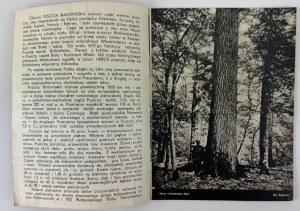 KARPIŃSKI J. Białowieża - Varšava 1935