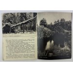 KARPIŃSKI J. Białowieża - Warszawa 1935