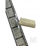 PRL - Large Set of Slides, Microfilms, Slides and More About Dental (And Not Only) Topics