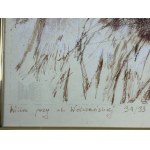 Milena Romanowska (XXI w.) - Obraz Willa przy Wólczańskiej 31/33 (Łódź); Tusz, Pastel (?) na Papierze*
