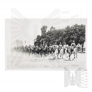 II RP - Kawaleria Fotografia Parada 5 Pułk Strzelców Konnych Tarnów