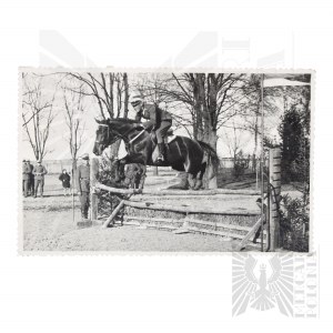 II RP - Photography Cavalry/Hippie competitions