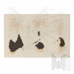 II RP Cavalry Photography, Banner Post of the 5th Regiment of Mounted Riflemen from Tarnów