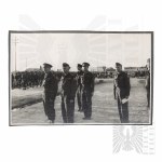 Vezi asemănătoare