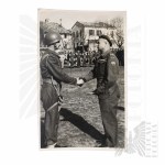 Zobraziť podobné