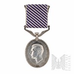 PSZnZ Zestaw Virtuti Militari (9205), Distinguished Flying Medal - A.Socha 300 Dywizjon Bombowy