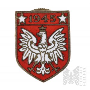 PSZnZ Patriotic Badge Guard Companies Pawel Rozwadowski