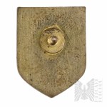PSZnZ Patriotic Badge Guard Companies Pawel Rozwadowski