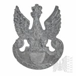 World War 1 Eagle wz.17 Henryk Sztorc Krakow 1917