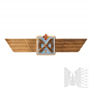 GDR Aircraft Mechanic Classification Spangles 1st Class