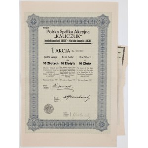 POLSKA SPÓŁKA AKCYJNA KAUCZUK