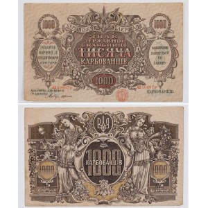 1000 KARBOWAŃCÓW, Ukraina pod rządami Petlury, (1918)