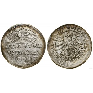 Pologne, penny, 1527, Cracovie