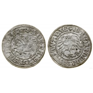 Poland, half-penny, 1509, Vilnius