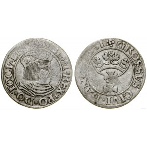 Polska, grosz, 1531, Gdańsk