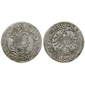 Polska, grosz, 1531, Toruń