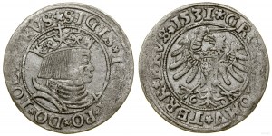 Polsko, penny, 1531, Toruň