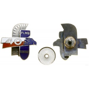 Pologne, 40e régiment d'aviation de chasseurs-bombardiers - Insigne commémoratif