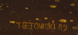 Tomasz Sętowski (ur. 1961, Częstochowa), Bez tytułu, 1989