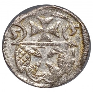 Polska, Zygmunt II August, denar 1555, Elbląg