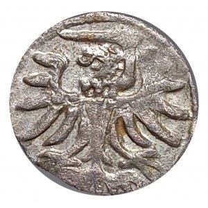 Polska, Zygmunt II August, denar 1555, Elbląg