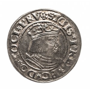 Poland, Sigismund I the Old, penny 1531, Gdańsk