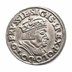 Polska, Zygmunt I Stary, trojak 1536, Gdańsk - PRVSSIE / DANNC3K
