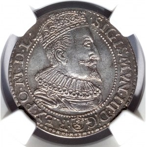 Polonia, Sigismondo III Vasa, sei pence 1596, Malbork - testa piccola