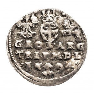 Polen, Sigismund III. Vasa, Trojak 1594, Vilnius