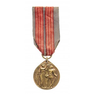 Niemcy, Prusy, medal honorowy FURG DAGERLAND 1914