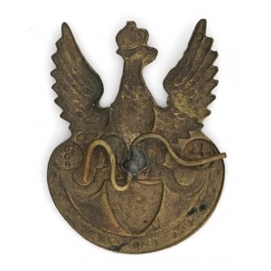 Eagle pattern 17