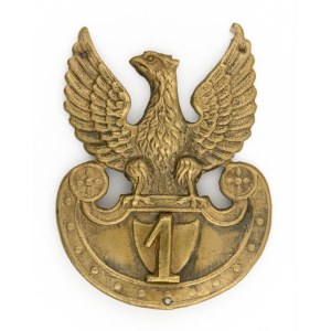 Eagle with regimental numeral 1 on amazon shield. Cracow 1916
