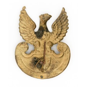 Eagle with regimental numeral 1 on amazon shield. Cracow 1916