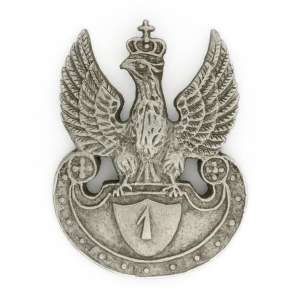 Eagle with regimental numeral 1 on amazon shield