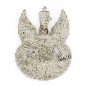 Eagle with regimental numeral 1 on amazon shield