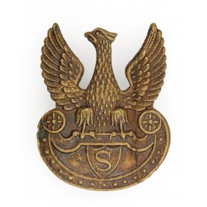 Eagle with the letter S on the amazon shield