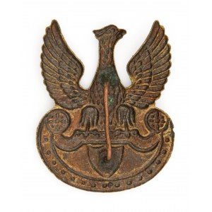 Eagle with the letter S on the amazon shield