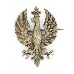 Patriotic eagle