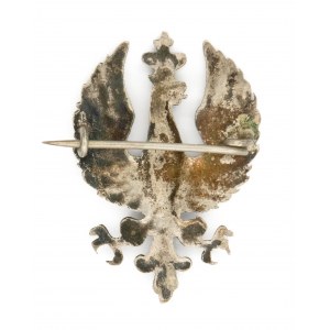 Patriotic eagle
