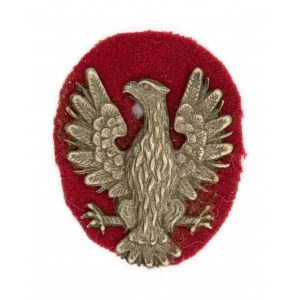 Eagle on a cloth pad
