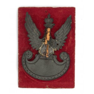 Aquila wz. 19 205° Reggimento Fanteria/Artiglieria Volontaria