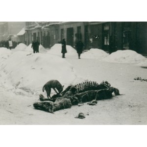 Warszawa Getto Warszawskie [ul. Nowolipie / pies obgryzający martwego konia] fotografia [vintage print / przed 1945]