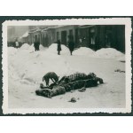 Warszawa Getto Warszawskie [ul. Nowolipie / pies obgryzający martwego konia] fotografia [vintage print / przed 1945]