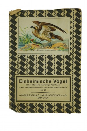Native Birds . Plate 37 with reduced color drawings of 136 bird species, chromolithography, Graser's Verlag , 19th/20th c.