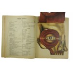 OLSZEWSKI J. - Oko ludzkie. Atlas anatomiczny w przystępnem i zrozumiałem dla wszystkich opracowaniu, Warszawa [przed 1939r.]