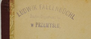 STASIAK Ludwik - Polish medieval plastic arts, Cracow 1912.