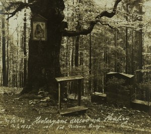 [USTROŃ] The historic tree of Skalica , photo by Carl Pietzna