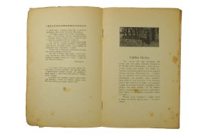 NIKOROWICZ Ignacy - In blood and tears. A novel from the dawn of the new happiness of the homeland , Library of the 
